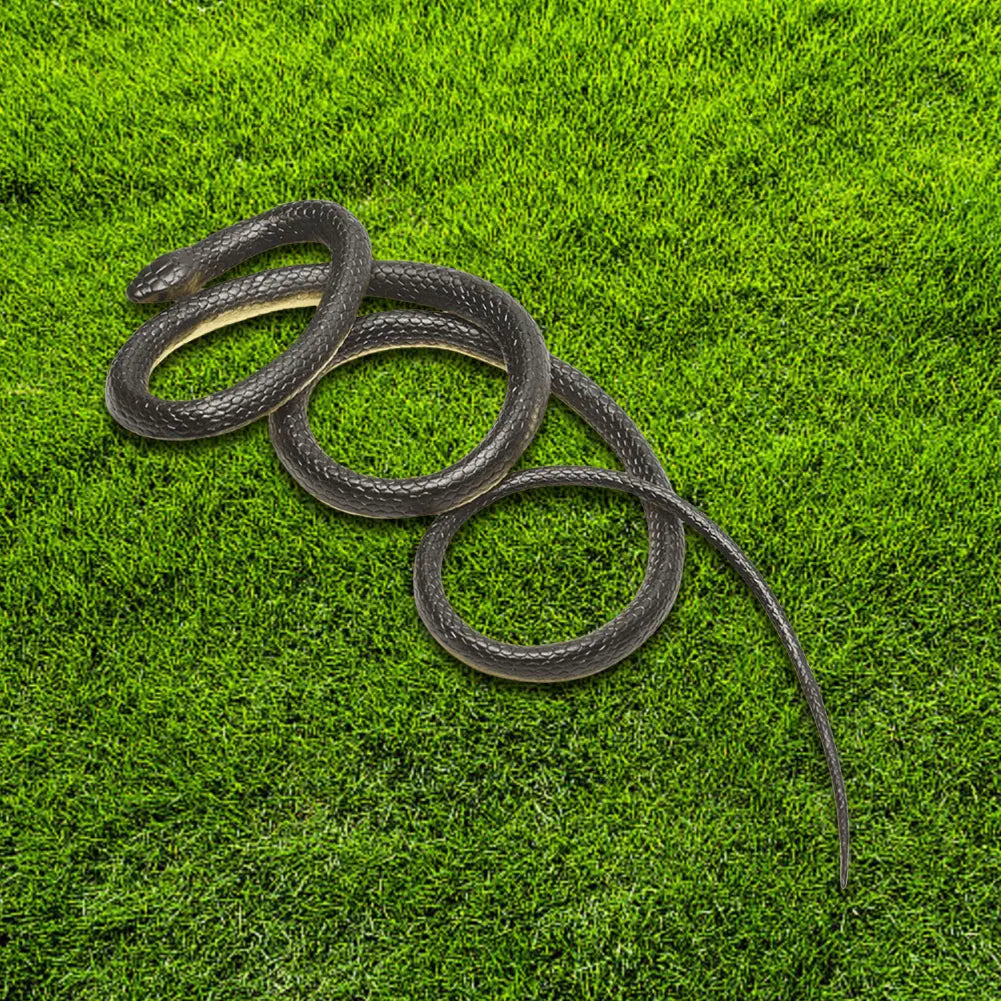 Fake Snake On A String Prank
